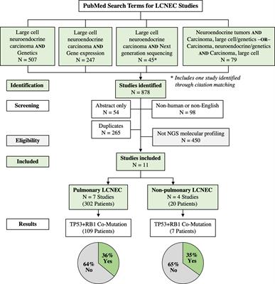 Prevalence of TP-53/Rb-1 Co-Mutation in Large Cell Neuroendocrine Carcinoma